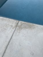 IMG_8010.jpeg