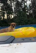 IMG_2226.jpeg