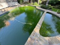 pool2.jpeg pool2.jpeg