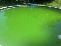 IMG_0490.jpeg