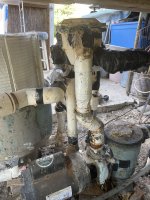 IMG_2235.jpeg