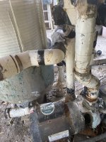IMG_2234.jpeg