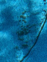 IMG_7928.jpeg