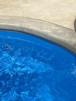 pool 1.jpg