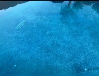 IMG_0338.jpeg