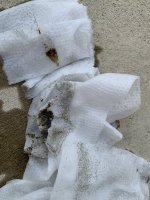 IMG_6049.jpeg