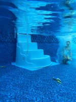 IMG_3558.jpeg