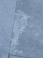 IMG_3822.jpeg