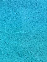 IMG_1096.jpeg