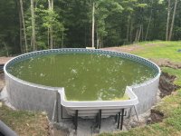 Pool 7-25-24.jpg