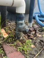 IMG_0411.jpeg