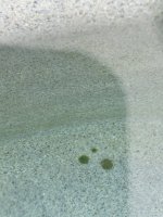 IMG_5594.jpeg