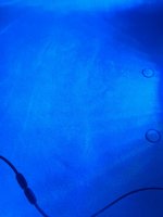 IMG_4170.jpeg IMG_4170.jpeg