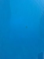 IMG_0826.jpeg