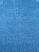 IMG_3147.jpeg