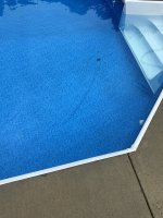 IMG_2399.jpeg IMG_2399.jpeg