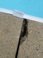 IMG_0432.jpeg