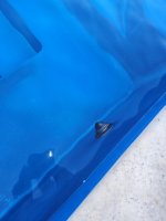 PoolBlackAlgae1.jpg