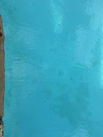 IMG_4847 Large.jpeg