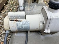 IMG_3536.jpeg