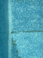 1723437123073.png