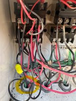 IMG_3243.jpeg IMG_3243.jpeg