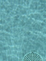IMG_7459.jpeg IMG_7459.jpeg
