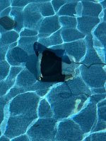 IMG_3208.jpeg