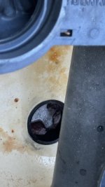 IMG_9909.jpeg