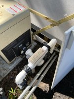 IMG_3934.jpeg
