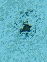 IMG_0198.jpeg