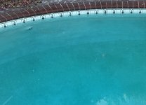 IMG_1791.heic.jpg