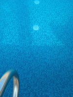 1000004016.jpg