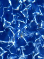 IMG_2567.jpeg