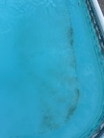 IMG_6341.jpeg
