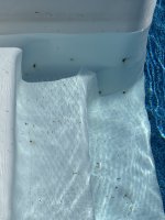 IMG_8170.jpeg