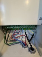 IMG_8206.jpeg