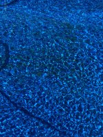 D6E440FD-8697-4842-AF27-756A71F585DD.jpeg