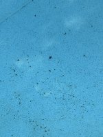 IMG_5968.jpeg