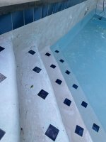 IMG_7293.jpeg