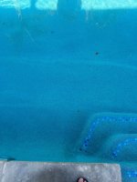 Pool 2.jpg