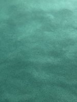 IMG_4709.jpeg