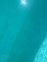 IMG_2048.jpeg
