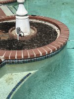 Pool-5.jpg