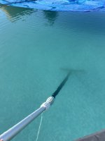 IMG_8777.jpeg