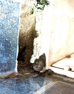 IMG_4422.jpeg