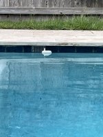IMG_0139.jpeg IMG_0139.jpeg