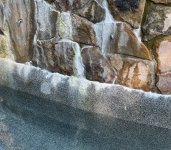IMG_4756.jpeg