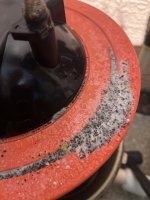 IMG_4542.jpeg