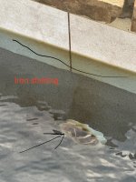 IMG_4747.jpeg IMG_4747.jpeg